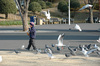 鳥に餌をやる少年