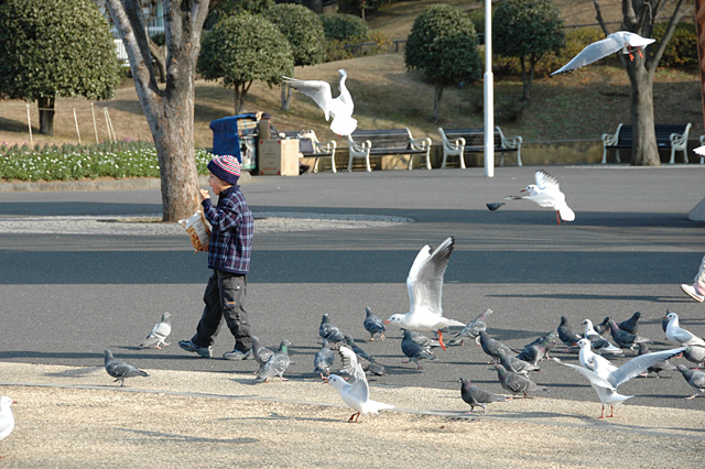 鳥に餌をやる少年機種:NIKON D70
露出時間:1/500秒
レンズF値:F5.6
露出制御モード:プログラムAE
オリジナル撮影日時:2006:01:09 13:24:55
露光補正量:EV0.7
レンズの焦点距離:90.00(mm)
レンズの焦点距離(35mm):135(mm)
ISO設定:400